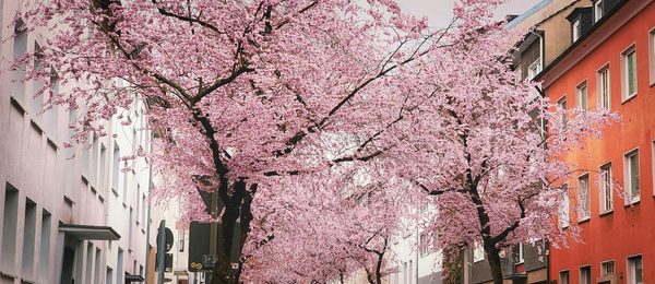 Seitensprung in Dortmund: Blick auf die Stadt