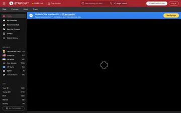 Screenshot der Stripchat-Website