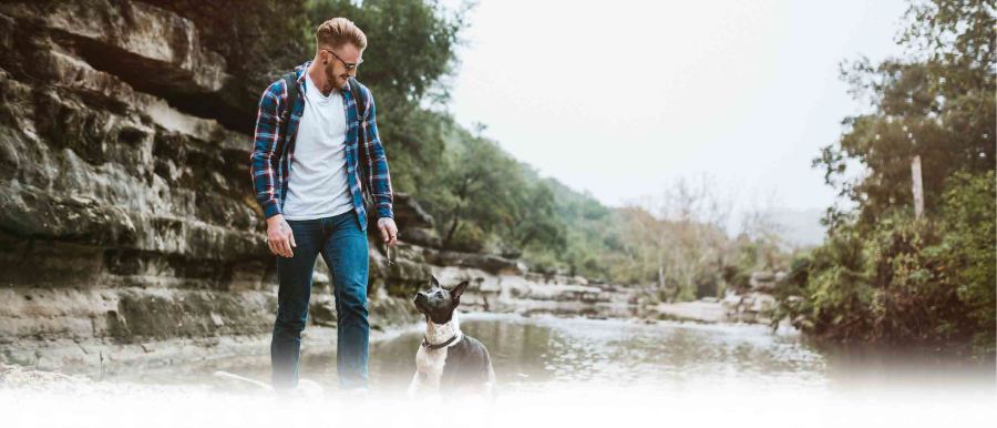 american profile with dogs